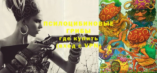 шишки Балабаново