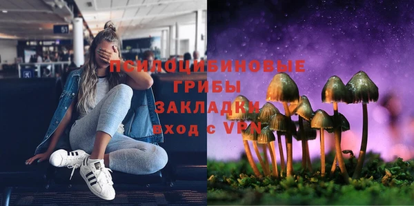 гидропоника Балахна